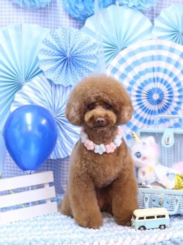 20231119ろこちゃん